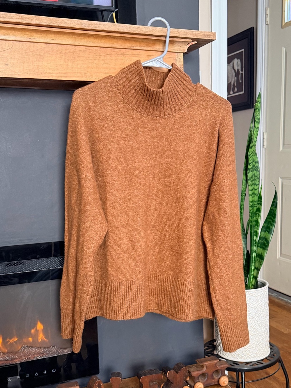 LOFT Turtleneck Sweater in Rust